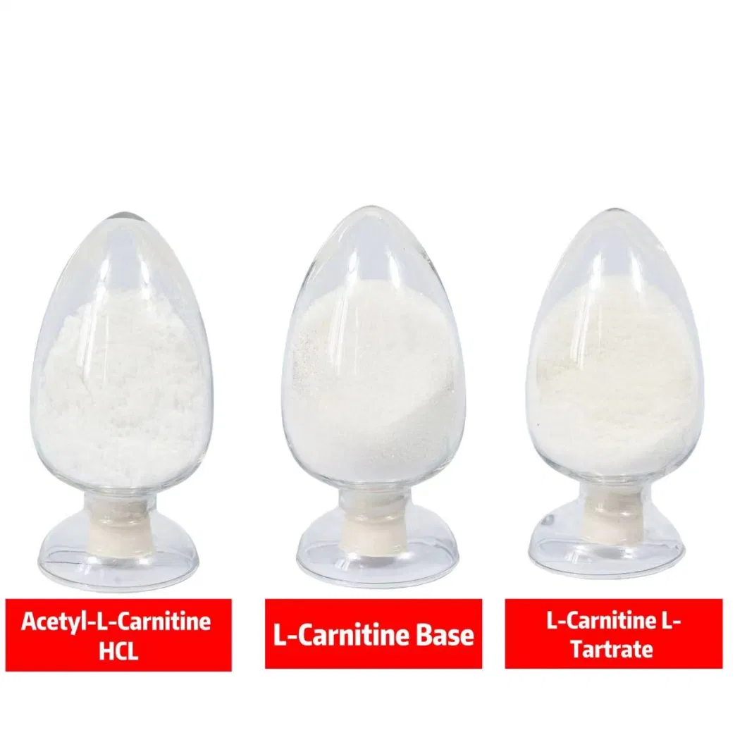 Factory Supply Best Price Food Additive CAS 36687-82-8 Pure L-Carnitine-L-Tartrate